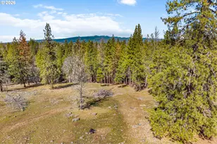36 Wooded Ln, Goldendale, WA 98620 - Photo 15