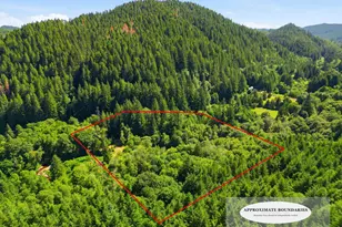 91984 Nelson Mountain Rd, Deadwood, OR 97430 - Photo 11