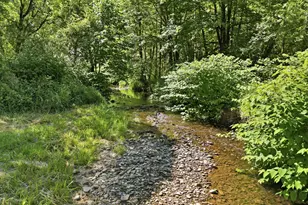 91984 Nelson Mountain Rd, Deadwood, OR 97430 - Photo 9