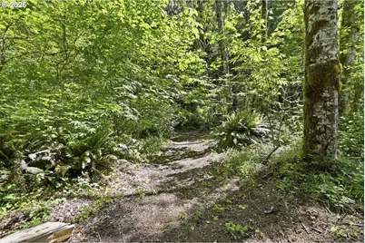 91984 Nelson Mountain Rd, Deadwood, OR 97430 - Photo 39