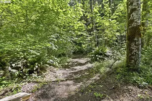 91984 Nelson Mountain Rd, Deadwood, OR 97430 - Photo 39