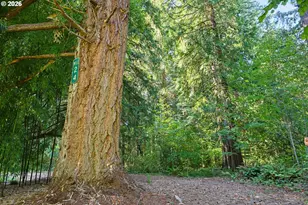 16990 SE Foster Rd, Gresham, OR 97080 - Photo 13