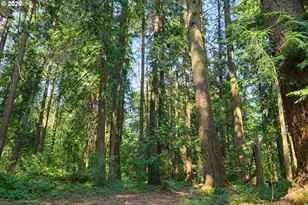16990 SE Foster Rd, Gresham, OR 97080 - Photo 11