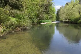 27688 S Hwy 213, Mulino, OR 97042 - Photo 47