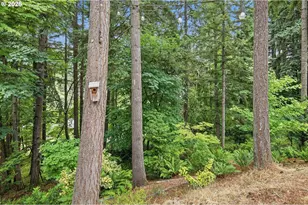 3026 Hendricks Hill Dr, Eugene, OR 97403 - Photo 39
