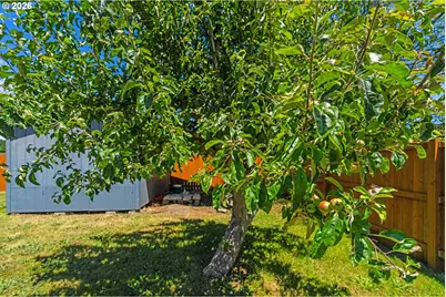 2449 Oak St, North Bend, OR 97459 - Photo 31