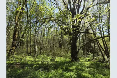 Mill Falls Ln, Longview, WA 98632 - Photo 1