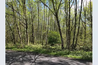 Mill Falls Ln, Longview, WA 98632 - Photo 13