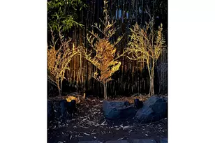 15316 SE Lee Ave, Milwaukie, OR 97267 - Photo 29