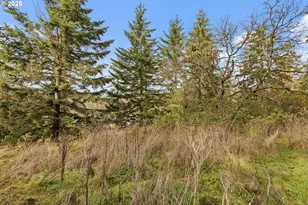 1782 Cole Rd S, Salem, OR 97306 - Photo 37