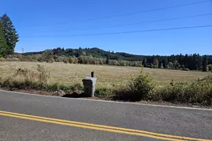 37410 Marys River Rd, Blodgett, OR 97326 - Photo 35
