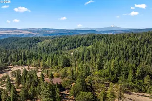73 Long Rd, Wahkiacus, WA 98670 - Photo 39