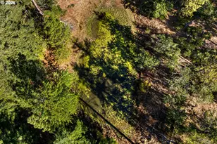 73 Long Rd, Wahkiacus, WA 98670 - Photo 41