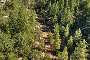 73 Long Rd, Wahkiacus, WA 98670 - Photo 43