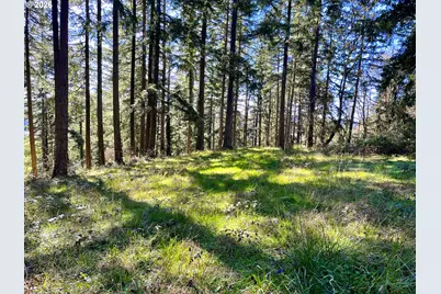 29358 S Salo Rd, Mulino, OR 97042 - Photo 39