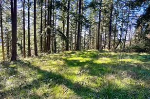 29358 S Salo Rd, Mulino, OR 97042 - Photo 39