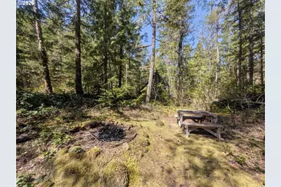 73867 Nf-20E Lot 9, Rhododendron, OR 97049 - Photo 39