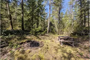 73867 Nf-20E Lot 9, Rhododendron, OR 97049 - Photo 39