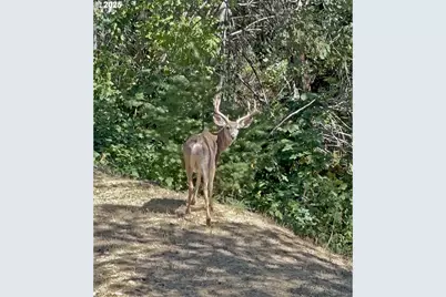 4712 Old Highway 99S, Ashland, OR 97520 - Photo 33