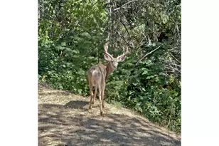 4712 Old Hwy 99 S, Ashland, OR 97520 - Photo 33