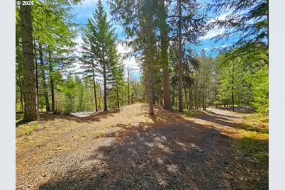 272 Johnson Rd, Lyle, WA 98635 - Photo 29