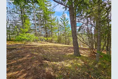 272 Johnson Rd, Lyle, WA 98635 - Photo 31