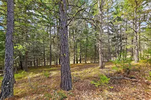 272 Johnson Rd, Lyle, WA 98635 - Photo 25