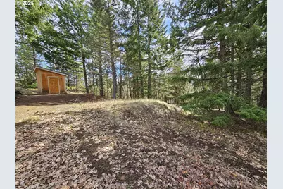 272 Johnson Rd, Lyle, WA 98635 - Photo 19