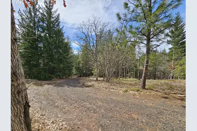 272 Johnson Rd, Lyle, WA 98635 - Photo 23