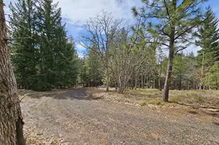 272 Johnson Rd, Lyle, WA 98635 - Photo 23