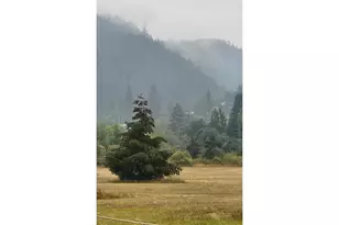 550 S State St, Sutherlin, OR 97479 - Photo 15