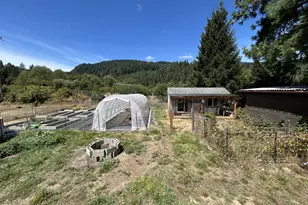 162 Spicer St, Elkton, OR 97436 - Photo 29