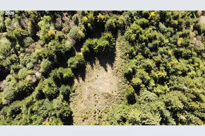 93875 Hollow Stump Ln, North Bend, OR 97459 - Photo 7