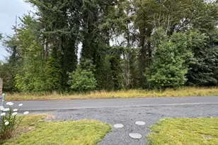 509 Monroe St, Ryderwood, WA 98581 - Photo 25