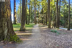 4426 SE Hawthorne Blvd, Portland, OR 97215 - Photo 41