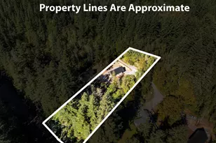 36405 NE 267th St, Yacolt, WA 98675 - Photo 33