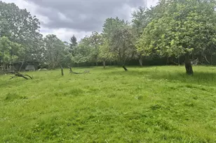8805 Hwy 47, Carlton, OR 97111 - Photo 39