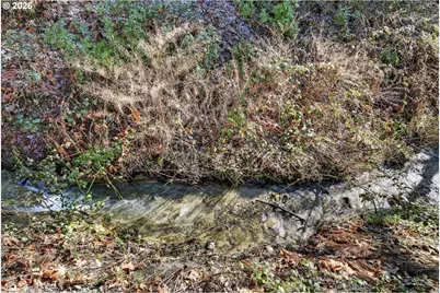 32700 SE Leewood Ln, Boring, OR 97009 - Photo 39