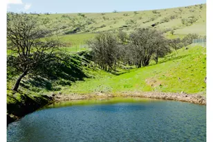 3475 Three Mile Rd, The Dalles, OR 97058 - Photo 31