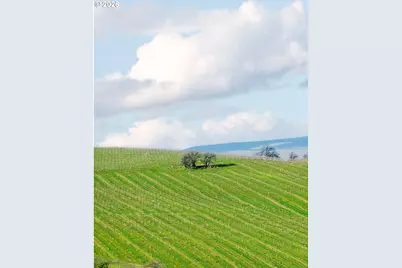 3475 Three Mile Rd, The Dalles, OR 97058 - Photo 21