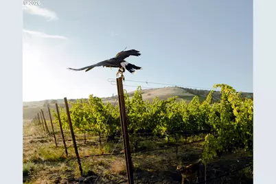 3475 Three Mile Rd, The Dalles, OR 97058 - Photo 15