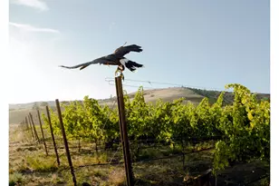 3475 Three Mile Rd, The Dalles, OR 97058 - Photo 15