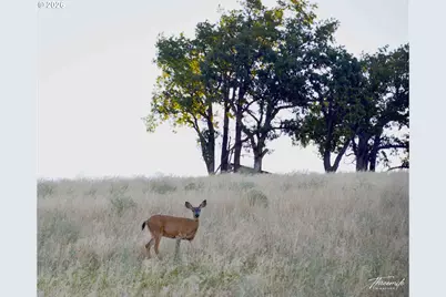 3475 Three Mile Rd, The Dalles, OR 97058 - Photo 33