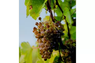 3475 Three Mile Rd, The Dalles, OR 97058 - Photo 21