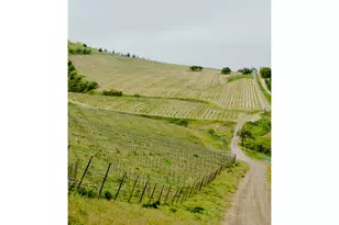 3475 Three Mile Rd, The Dalles, OR 97058 - Photo 11