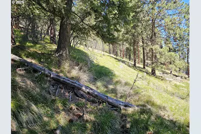 Lake Shore Rd, Joseph, OR 97846 - Photo 5