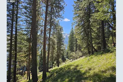 Lake Shore Rd, Joseph, OR 97846 - Photo 3