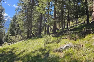 Lake Shore Rd, Joseph, OR 97846 - Photo 1