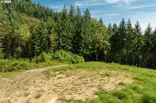 239 Junco Ln, Woodland, WA 98674 - Photo 1