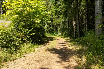 239 Junco Ln, Woodland, WA 98674 - Photo 17